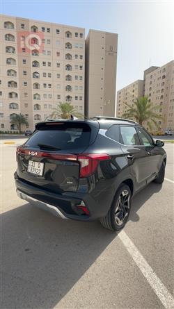 کیا سێلتۆس